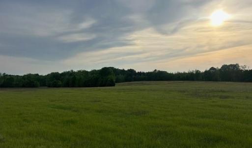 Photo #13 of 2335 Holiday, Reidsville, NC 25.7 acres