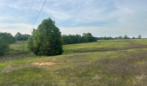 Photo #16 of 2335 Holiday, Reidsville, NC 25.7 acres
