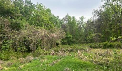 Photo #10 of 2335 Holiday, Reidsville, NC 25.7 acres