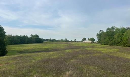 Photo #15 of 2335 Holiday, Reidsville, NC 25.7 acres