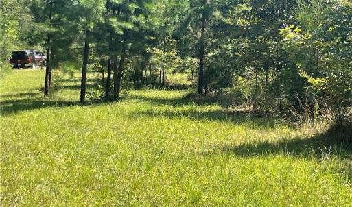 Photo #2 of Julia, Thomasville, NC 8.6 acres