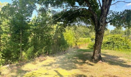 Photo #6 of Julia, Thomasville, NC 8.6 acres