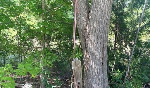 Photo #7 of Julia, Thomasville, NC 8.6 acres