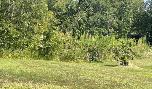 Photo #3 of Julia, Thomasville, NC 8.6 acres