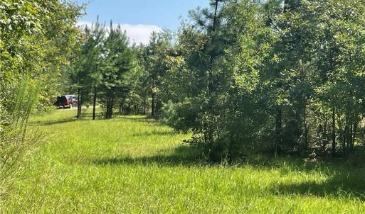 Photo #1 of Julia, Thomasville, NC 8.6 acres