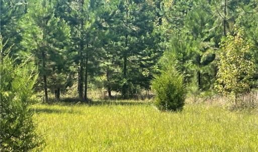 Photo #5 of Julia, Thomasville, NC 8.6 acres
