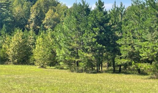 Photo #4 of Julia, Thomasville, NC 8.6 acres