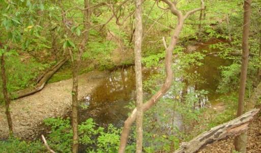 Photo #23 of Dan, Robbins, NC 45.6 acres