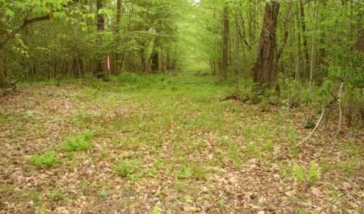 Photo #46 of Dan, Robbins, NC 45.6 acres