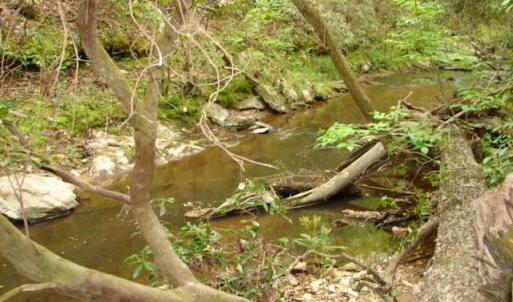 Photo #43 of Dan, Robbins, NC 45.6 acres