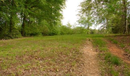 Photo #26 of Dan, Robbins, NC 45.6 acres