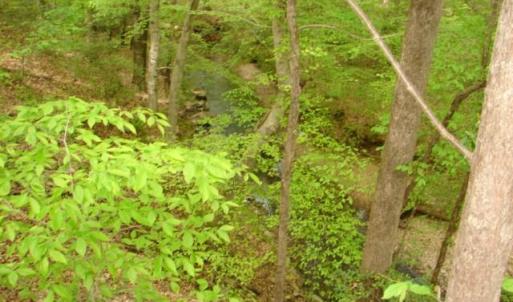 Photo #22 of Dan, Robbins, NC 45.6 acres