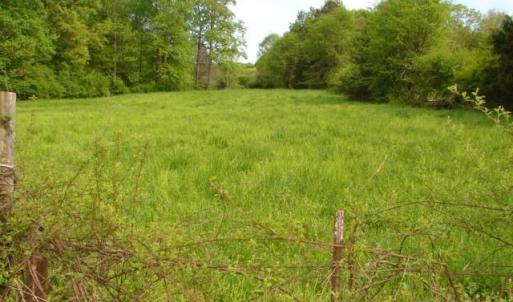 Photo #3 of Dan, Robbins, NC 45.6 acres
