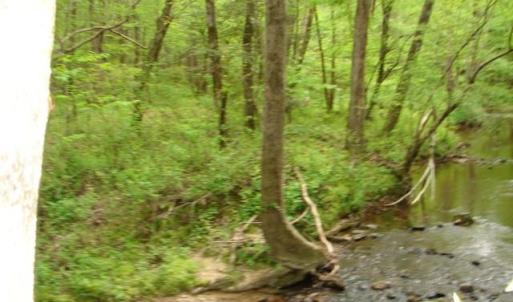 Photo #36 of Dan, Robbins, NC 45.6 acres