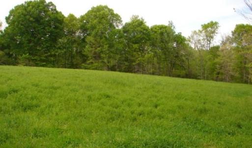 Photo #32 of Dan, Robbins, NC 45.6 acres