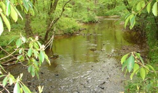 Photo #1 of Dan, Robbins, NC 45.6 acres