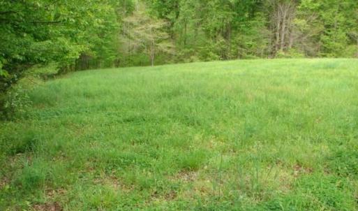 Photo #28 of Dan, Robbins, NC 45.6 acres