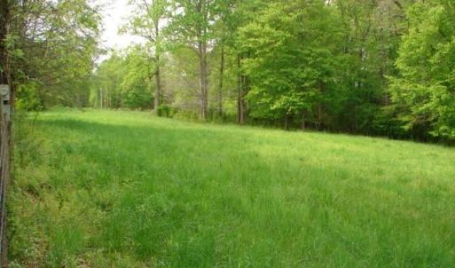 Photo #9 of Dan, Robbins, NC 45.6 acres