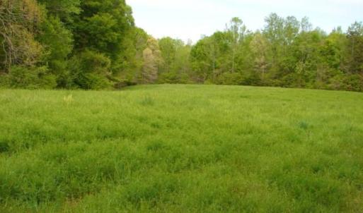 Photo #30 of Dan, Robbins, NC 45.6 acres