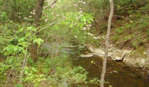 Photo #38 of Dan, Robbins, NC 45.6 acres