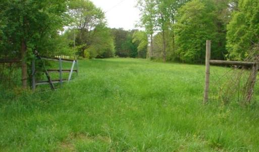 Photo #10 of Dan, Robbins, NC 45.6 acres