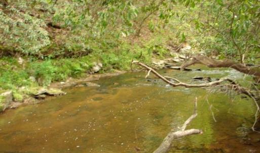 Photo #45 of Dan, Robbins, NC 45.6 acres
