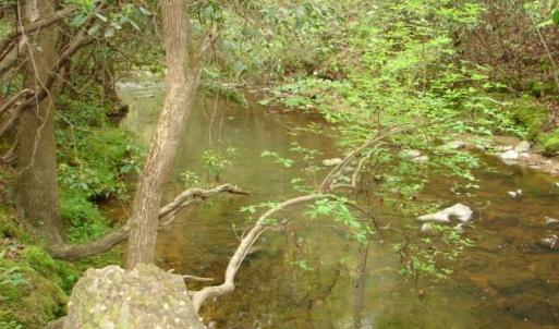 Photo #44 of Dan, Robbins, NC 45.6 acres