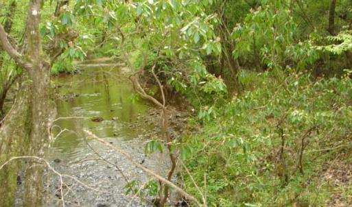 Photo #35 of Dan, Robbins, NC 45.6 acres