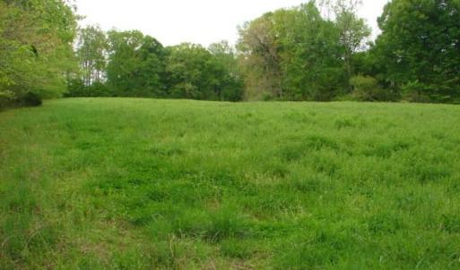 Photo #31 of Dan, Robbins, NC 45.6 acres