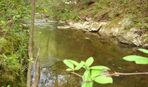Photo #39 of Dan, Robbins, NC 45.6 acres
