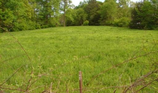 Photo #4 of Dan, Robbins, NC 45.6 acres