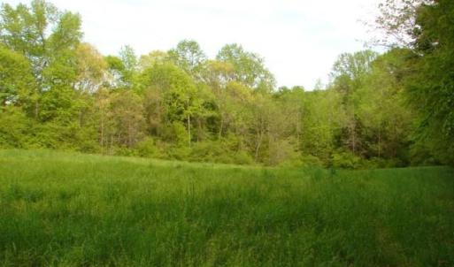 Photo #21 of Dan, Robbins, NC 45.6 acres