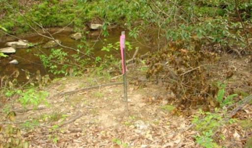 Photo #37 of Dan, Robbins, NC 45.6 acres