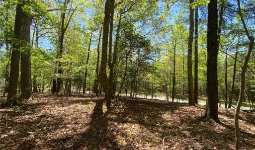 Photo #6 of Holly Hills, Troy, NC 2.8 acres