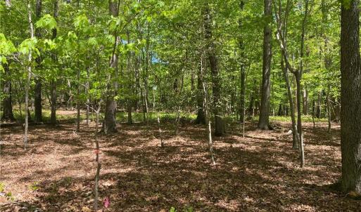 Photo #7 of Holly Hills, Troy, NC 2.8 acres