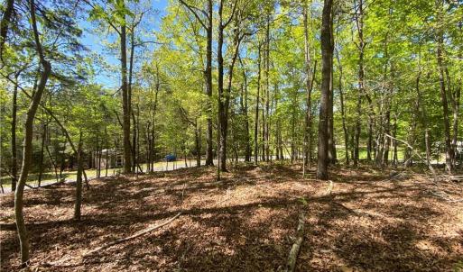 Photo #5 of Holly Hills, Troy, NC 2.8 acres