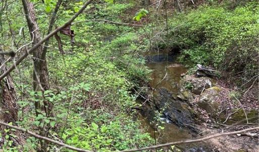 Photo #11 of Sheets, Germanton, NC 26.8 acres