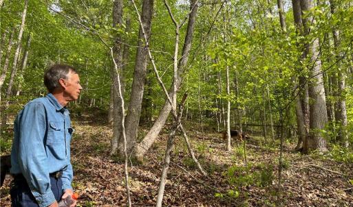 Photo #6 of Sheets, Germanton, NC 26.8 acres