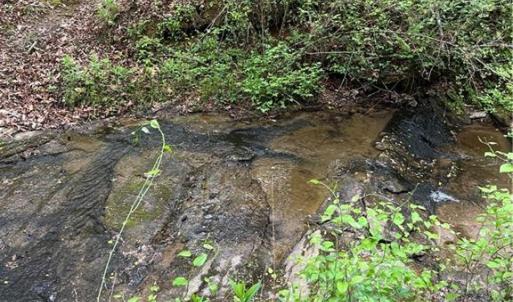 Photo #12 of Sheets, Germanton, NC 26.8 acres