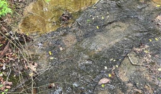 Photo #10 of Sheets, Germanton, NC 26.8 acres