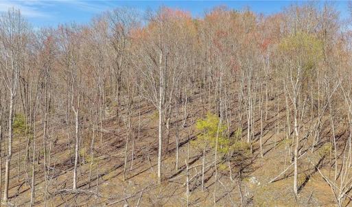 Photo #2 of TBD Highlands Parkway, Mouth of Wilson, VA 37.2 acres