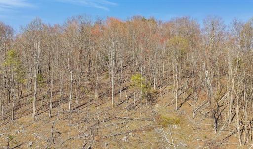 Photo #1 of TBD Highlands Parkway, Mouth of Wilson, VA 37.2 acres