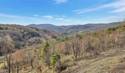 Photo #5 of TBD Highlands Parkway, Mouth of Wilson, VA 37.2 acres