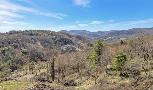 Photo #9 of TBD Highlands Parkway, Mouth of Wilson, VA 37.2 acres