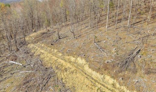Photo #10 of TBD Highlands Parkway, Mouth of Wilson, VA 37.2 acres
