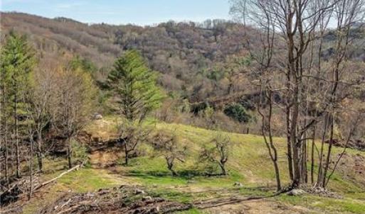 Photo #11 of TBD Highlands Parkway, Mouth of Wilson, VA 37.2 acres