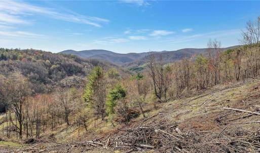 Photo #4 of TBD Highlands Parkway, Mouth of Wilson, VA 37.2 acres