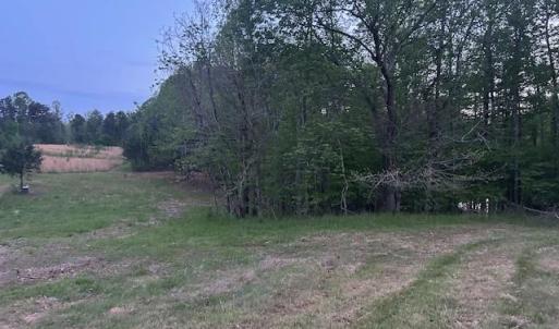 Photo #13 of 618 Crystal Cove, Yanceyville, NC 5.1 acres