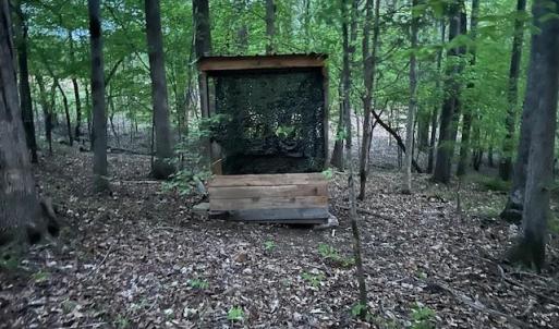 Photo #12 of 618 Crystal Cove, Yanceyville, NC 5.1 acres