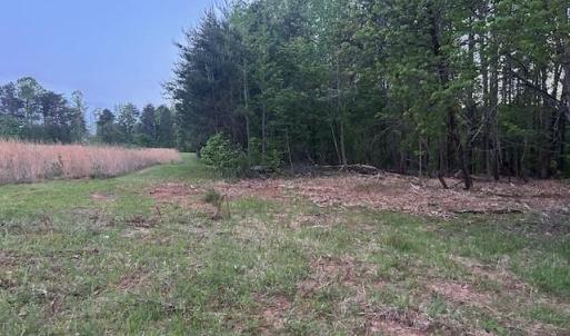 Photo #7 of 618 Crystal Cove, Yanceyville, NC 5.1 acres